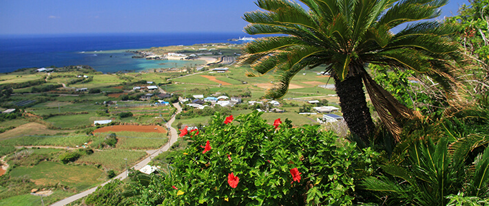 与論島の景色