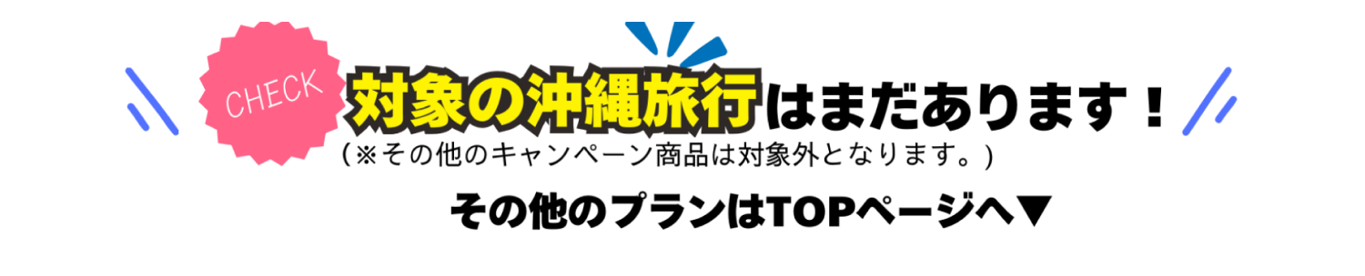 沖縄旅行は全商品が対応！