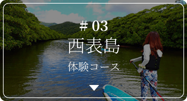 #03 西表島体験コース