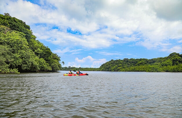西表島イメージ画像