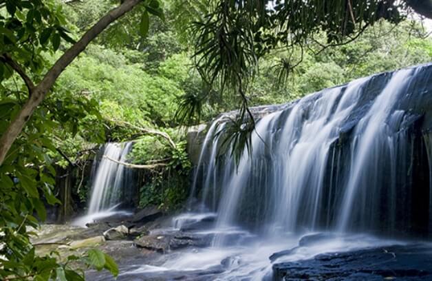 西表島イメージ画像