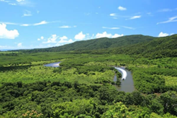 西表島 観光コースイメージ画像