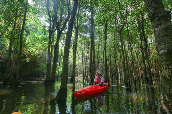 西表島 体験コースイメージ画像