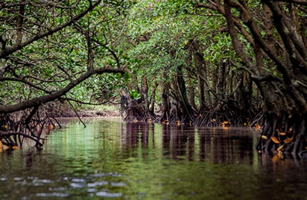 西表島イメージ画像
