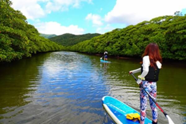 西表島 体験コースイメージ画像