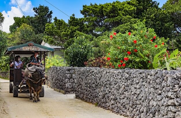 竹富島イメージ画像