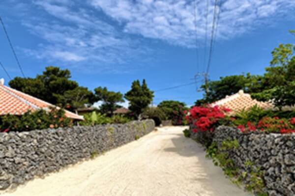 竹富島 観光コースイメージ画像