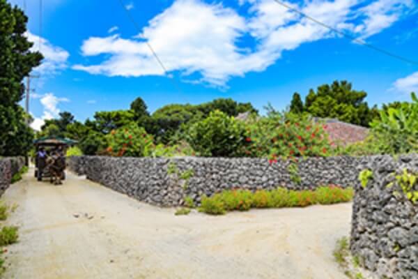 竹富島 観光コースイメージ画像