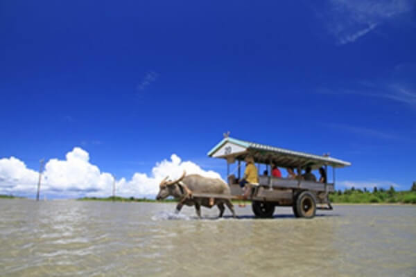 西表島 観光コースイメージ画像