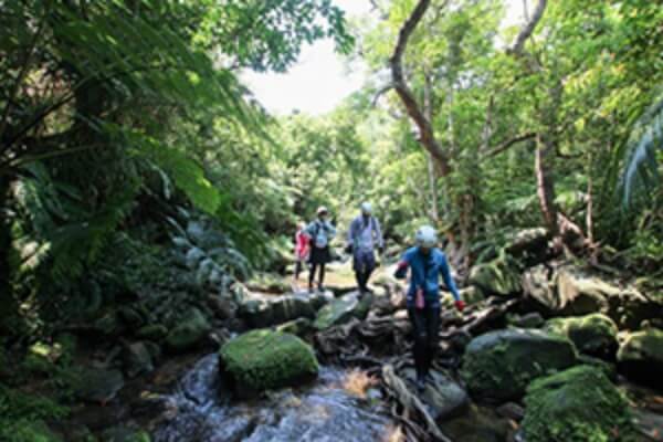西表島 体験コースイメージ画像