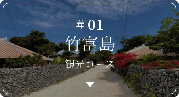 #01 竹富島観光コース