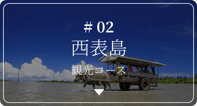 #02 西表島観光コース