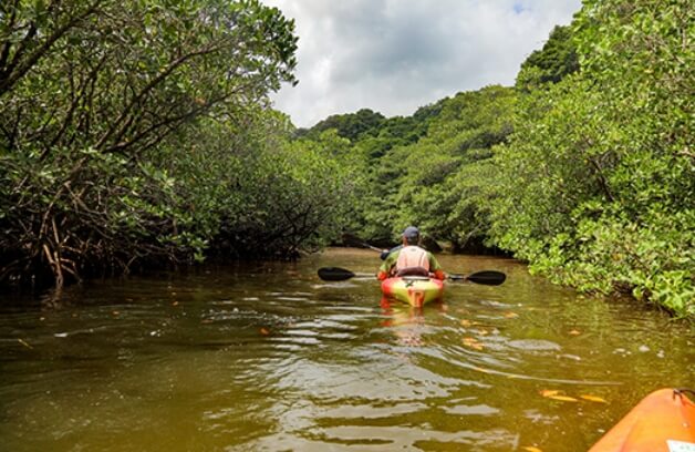 西表島イメージ画像