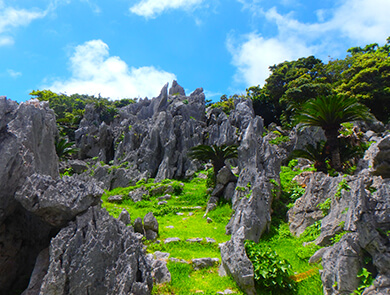 大石林山