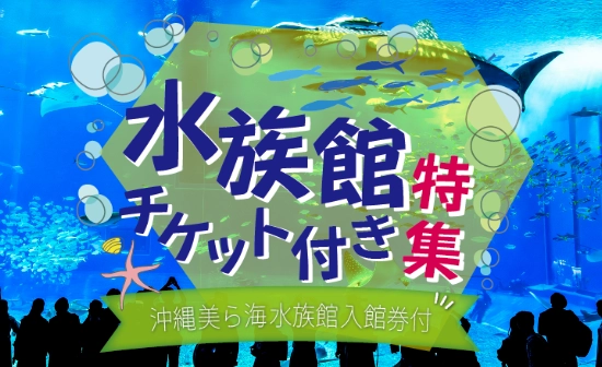 【～11月出発まで】『沖縄美ら海水族館入館券＆レンタカー付き！』沖縄本島フリーチョイス