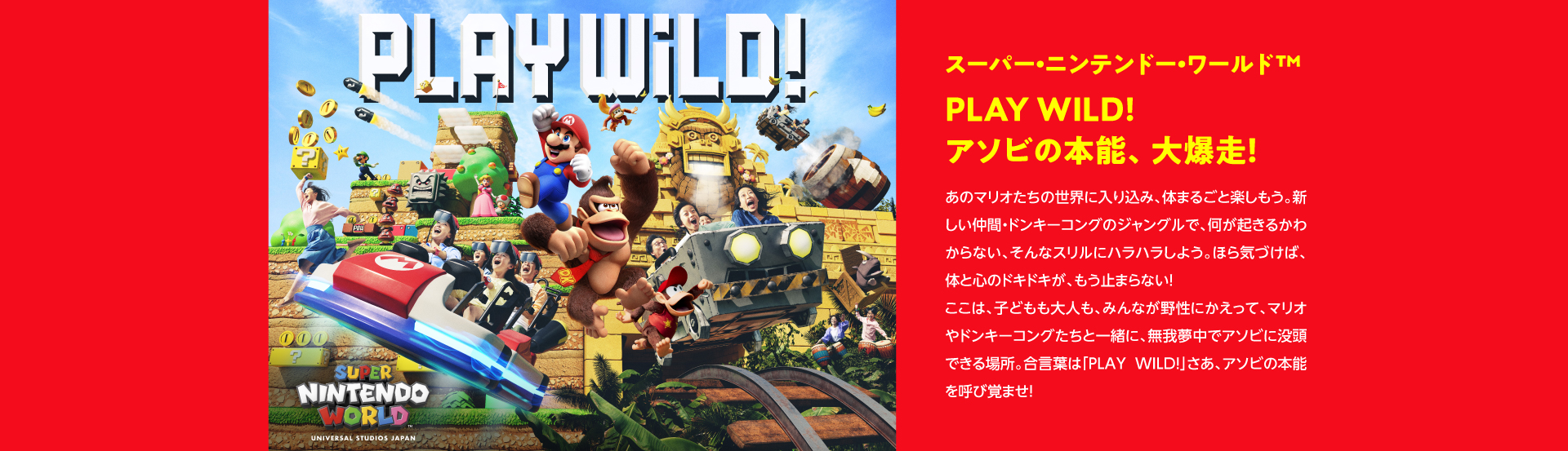 スーパー・ニンテンドウ・ワールドTM