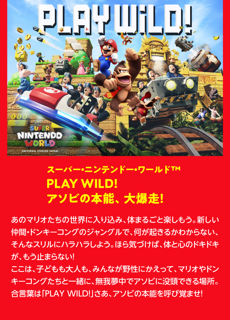 スーパー・ニンテンドウ・ワールドTM